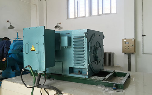 东河某水电站工程主水泵使用我公司高压电机